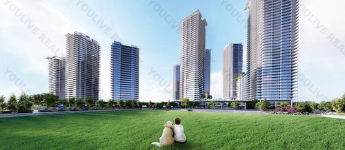 {{alt}} | Card Image