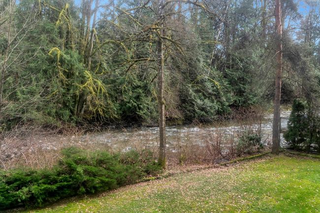 View of yard with a forest view | Image 27