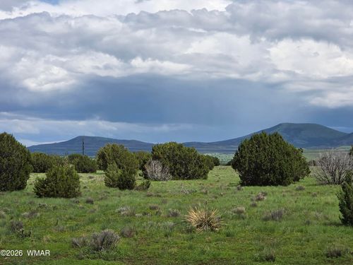 14 N3111, Vernon, AZ, 85940-5528 | Card Image