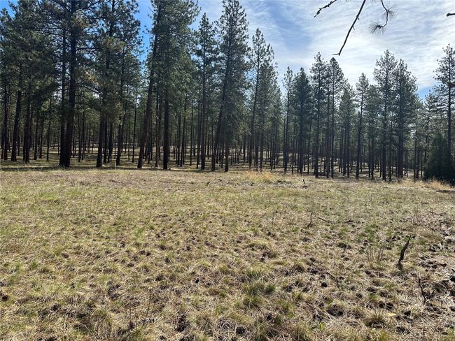 31760 Old Highway 10 W, Home with 0 bedrooms, 0 bathrooms and null parking in Alberton MT | Image 11