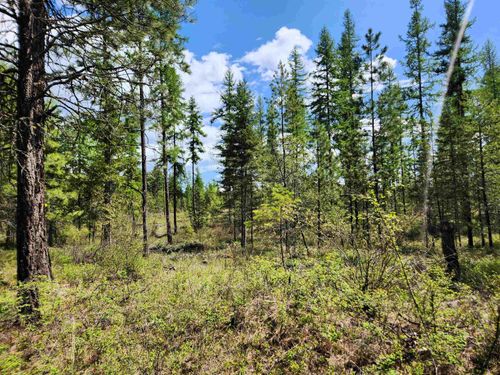 3669 E Jump Off Rd, Valley, WA, 99181-9634 | Card Image