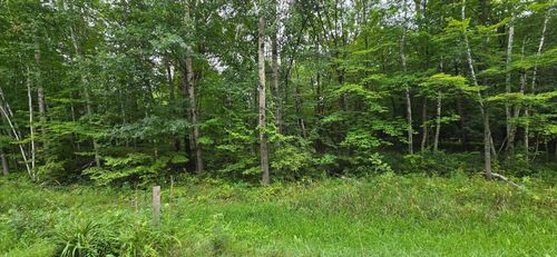 XXXX Julep Trail, Forest Lake, MN, 55025 | Card Image