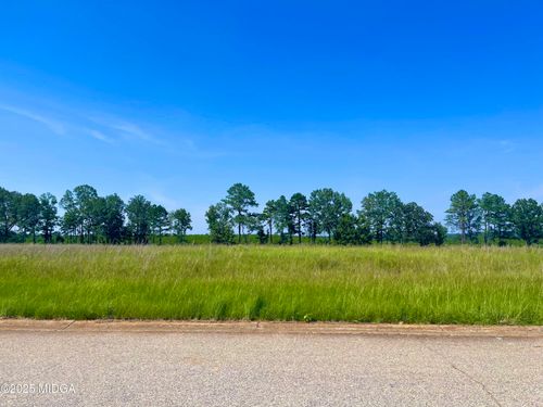 Lot 41 Crabapple Dr, Hawkinsville, GA, 31036-6659 | Card Image