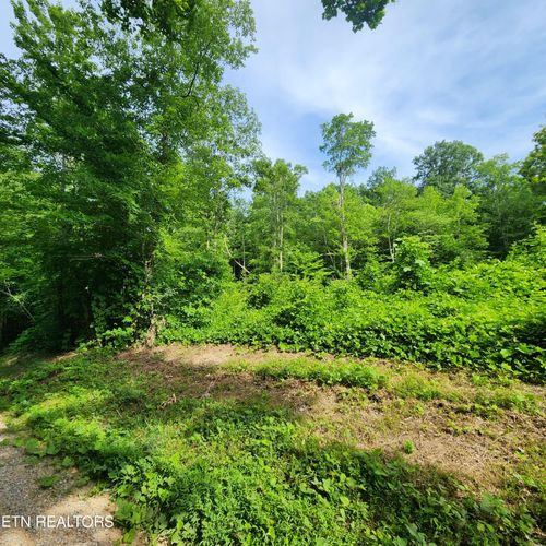 0 Elm Springs Ridge Rd, Washburn, TN, 37888 | Card Image