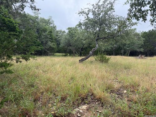 197 Rosenberry, Bulverde, TX, 78163-1783 | Card Image