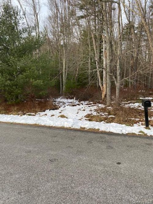 Lot 114 Old Congress Rd, Monticello, NY, 12701 | Card Image