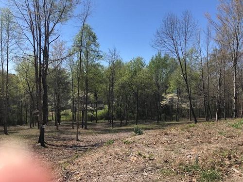 Lot 18 Pine Ave, Spring City, TN, 37381-7033 | Card Image