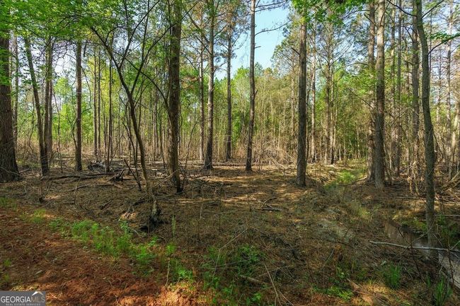 6053 Sun Hill Grange Rd, Home with 0 bedrooms, 0 bathrooms and null parking in Davisboro GA | Image 15