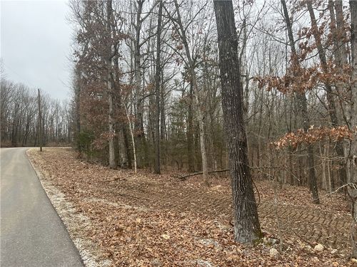 1.87 AC Dubuque Road, Omaha, AR, 72662 | Card Image