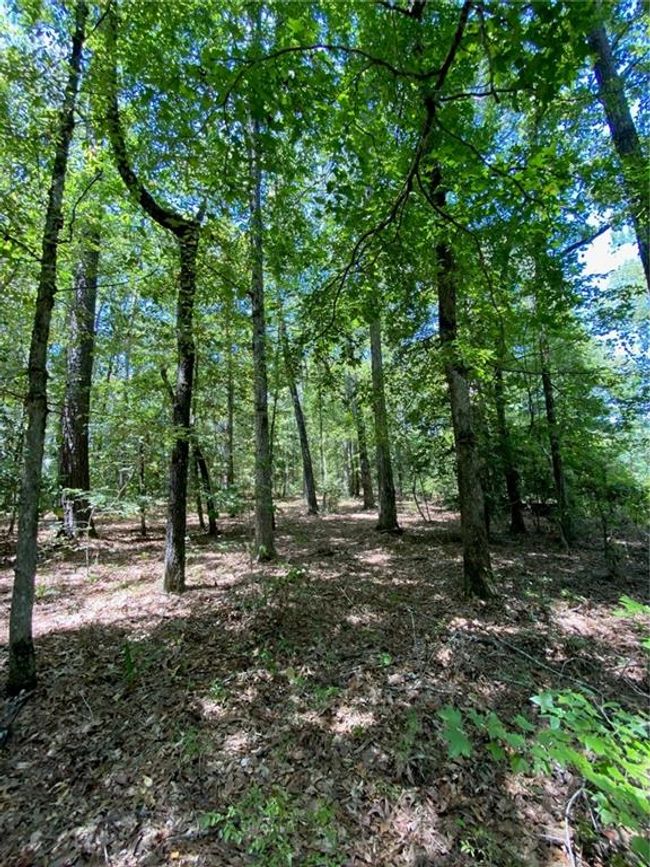 141 Buford Lashley Rd, House other with 1 bedrooms, 1 bathrooms and null parking in Atlanta LA | Image 6