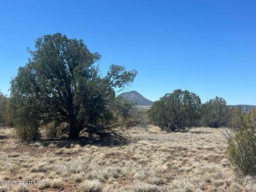 10 N2 Off Of Looking Glass, Ash Fork, AZ, 86320 | Card Image