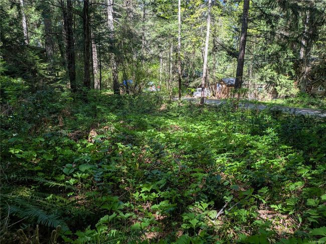 35 Captain Morgans Blvd, Home with 0 bedrooms, 0 bathrooms and 2 parking in Protection Island BC | Image 8