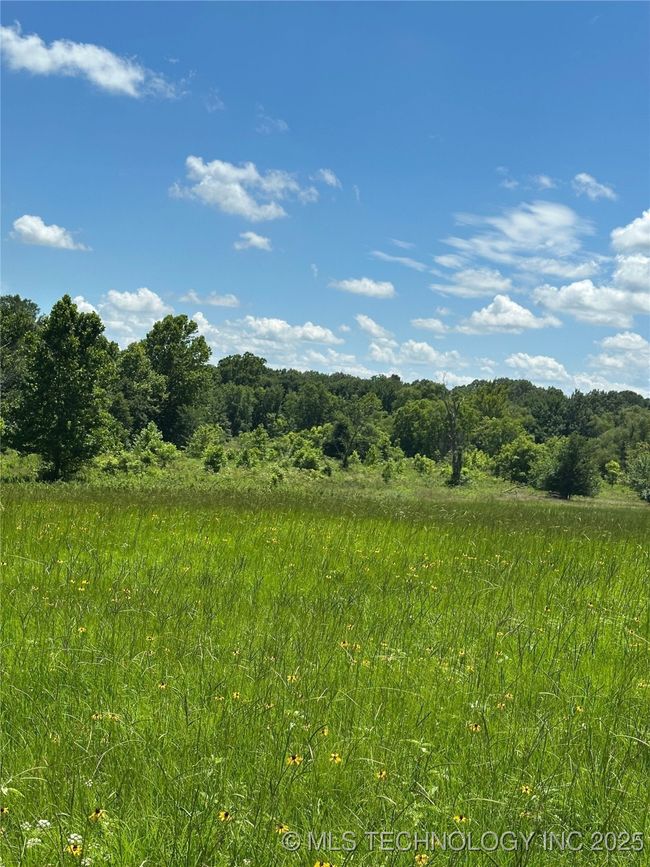 1 Blevins Rd, Home with 0 bedrooms, 0 bathrooms and null parking in Bennington OK | Image 44