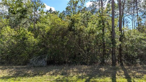 00 Ne 108th Pl, WALDO, FL, 32694 | Card Image