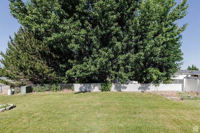 View of yard | Image 23