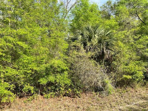 0 Nw 74th Ct, CHIEFLAND, FL, 32626 | Card Image