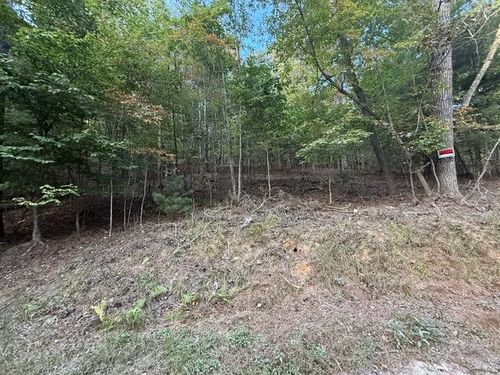 4ac. Old Mill Rd, mineral bluff, GA, 30559-8740 | Card Image