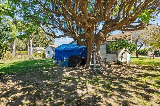 29-web-or-mls-DSC08005 | Image 31