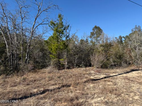 000 Birwood Ct, Chipley, FL, 32428 | Card Image