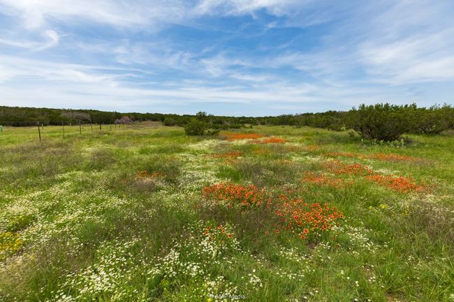 Tract 3 Us Hwy 277, Home with 0 bedrooms, 0 bathrooms and null parking in Wingate TX | Image 16