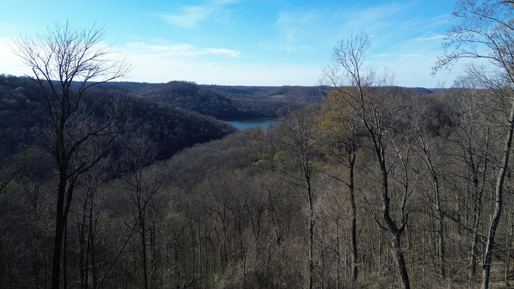 Land in Smithville 4