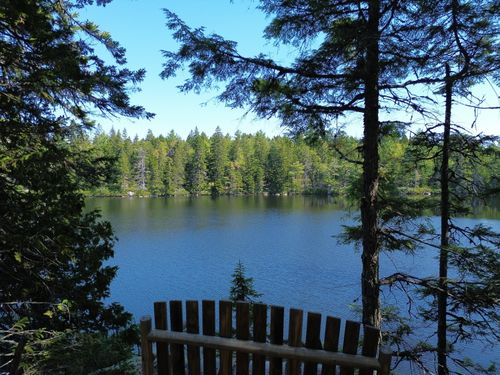 41 Sportsmen'S Lodge Road, Marshfield, ME, 04654 | Card Image