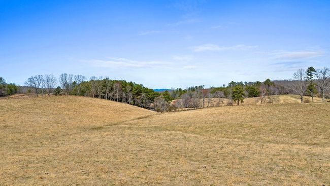 1994 Douthit Rd, Home with 3 bedrooms, 2 bathrooms and 3 parking in Mineral Bluff GA | Image 7