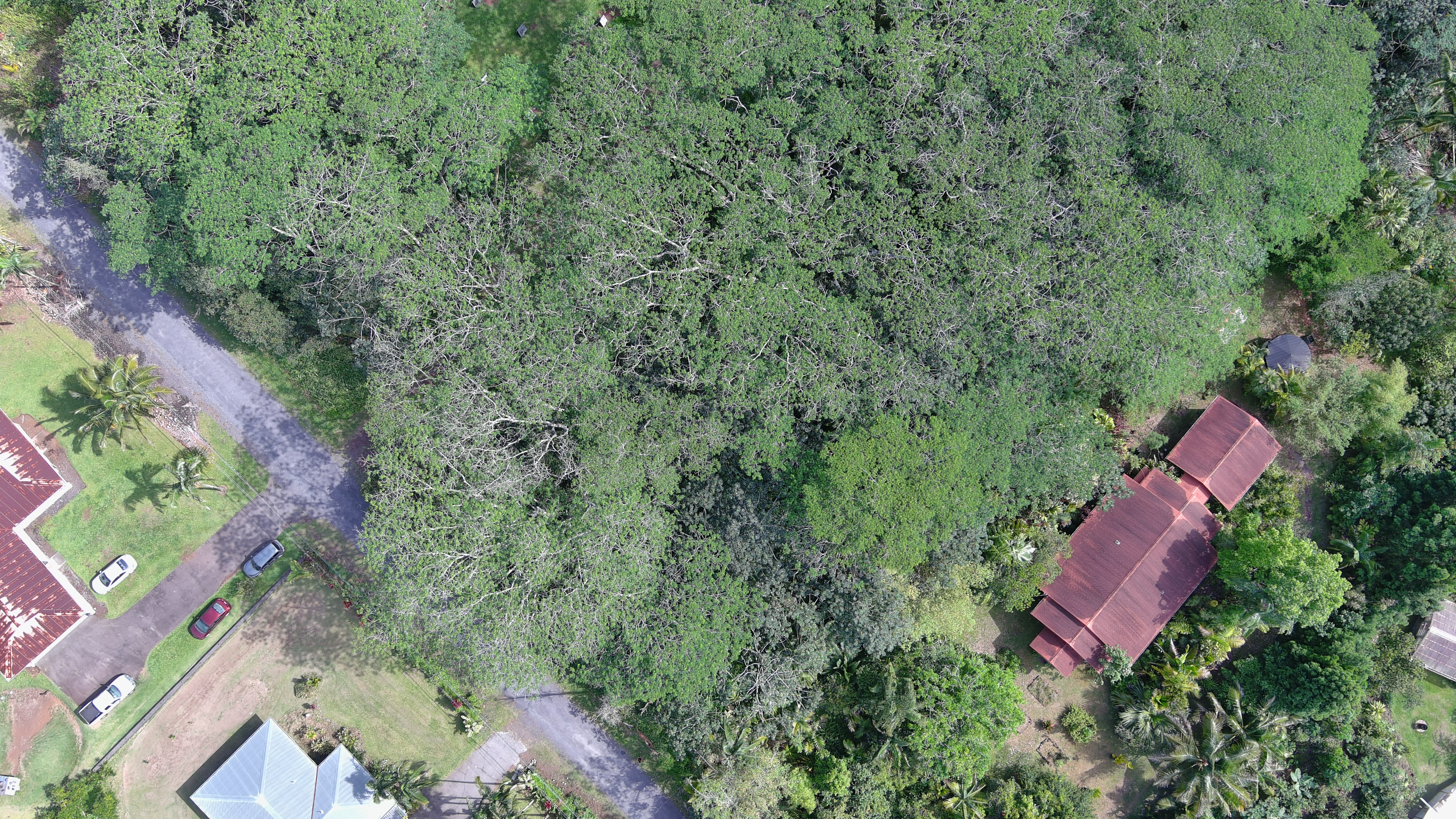 Land in Keaau 4