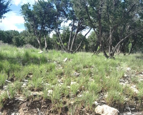 1111 Flagstone, Fischer, TX, 78623-2525 | Card Image