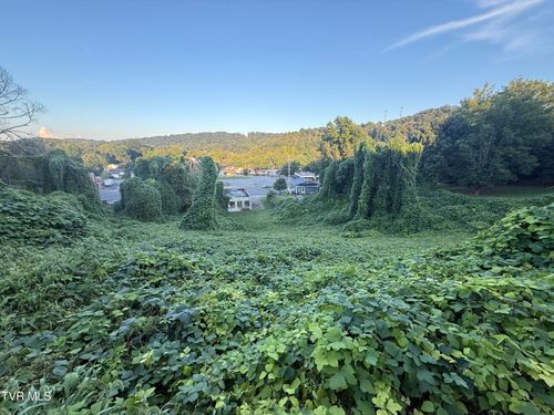 16 Birdwell St, Kingsport, TN, 37664 | Card Image