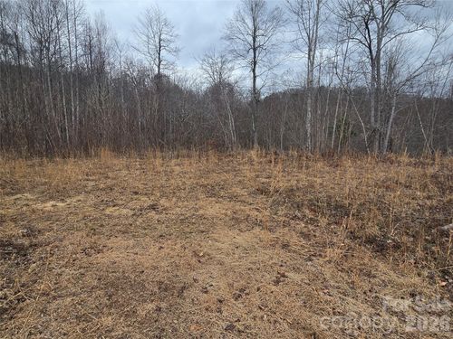 19-138 Fairlane Loop, Whittier, NC, 28789 | Card Image