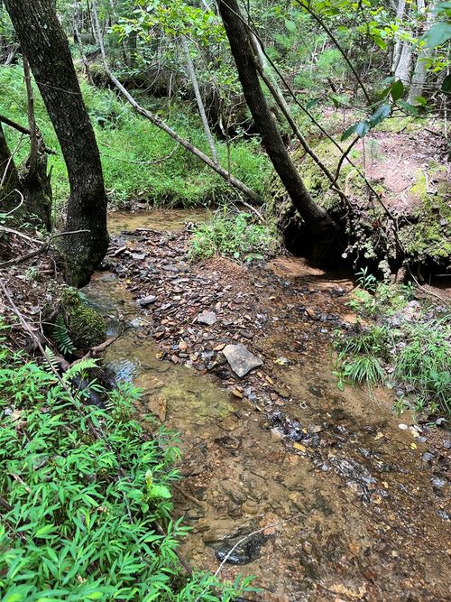 TBD Sheep Knob, Brasstown, NC, 28902 | Card Image