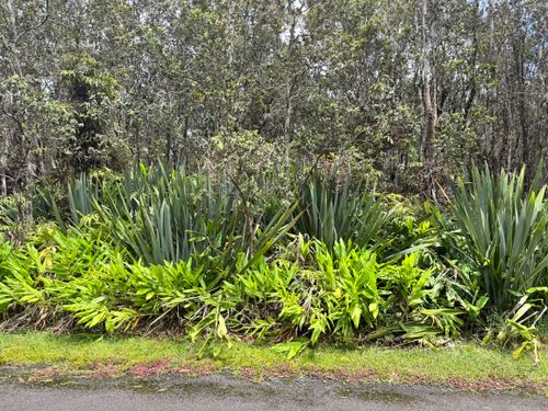 11-3778 1st St, VOLCANO, HI, 96785 | Card Image