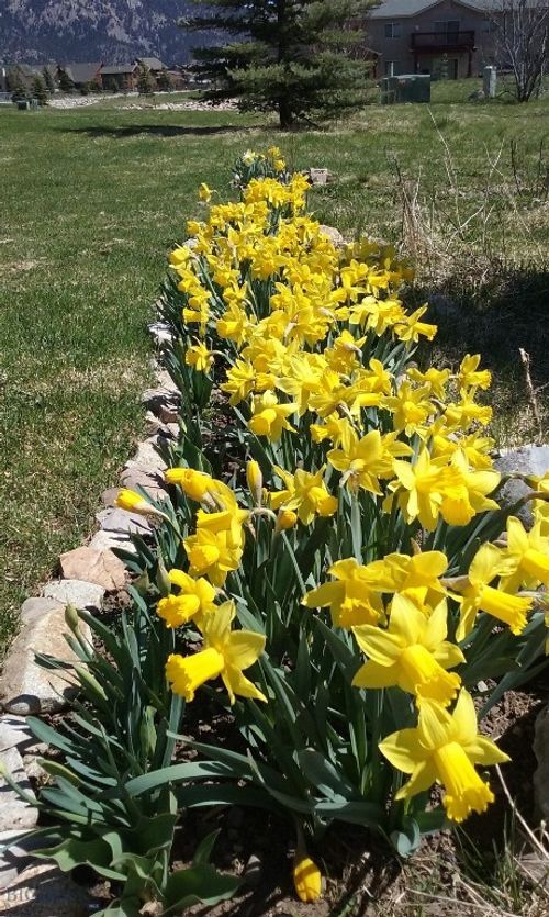 b2-155 Aurora Lights Dr, Big Sky, MT, 59716-7733 | Card Image