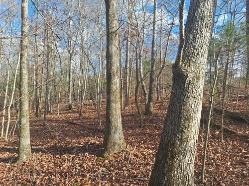 0 Circle G Rd, Lawrenceburg, TN, 38464 | Card Image