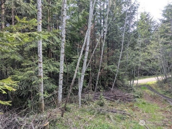 9999 Lone Tree Dr, Home with 0 bedrooms, 0 bathrooms and null parking in Sequim WA | Image 4