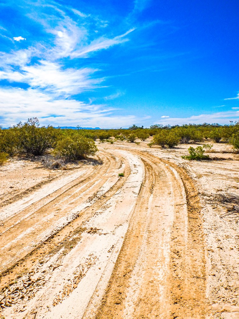 Land in Terlingua 4