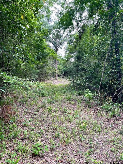 TBD Country Pl, Tyler, TX, 75704 | Card Image