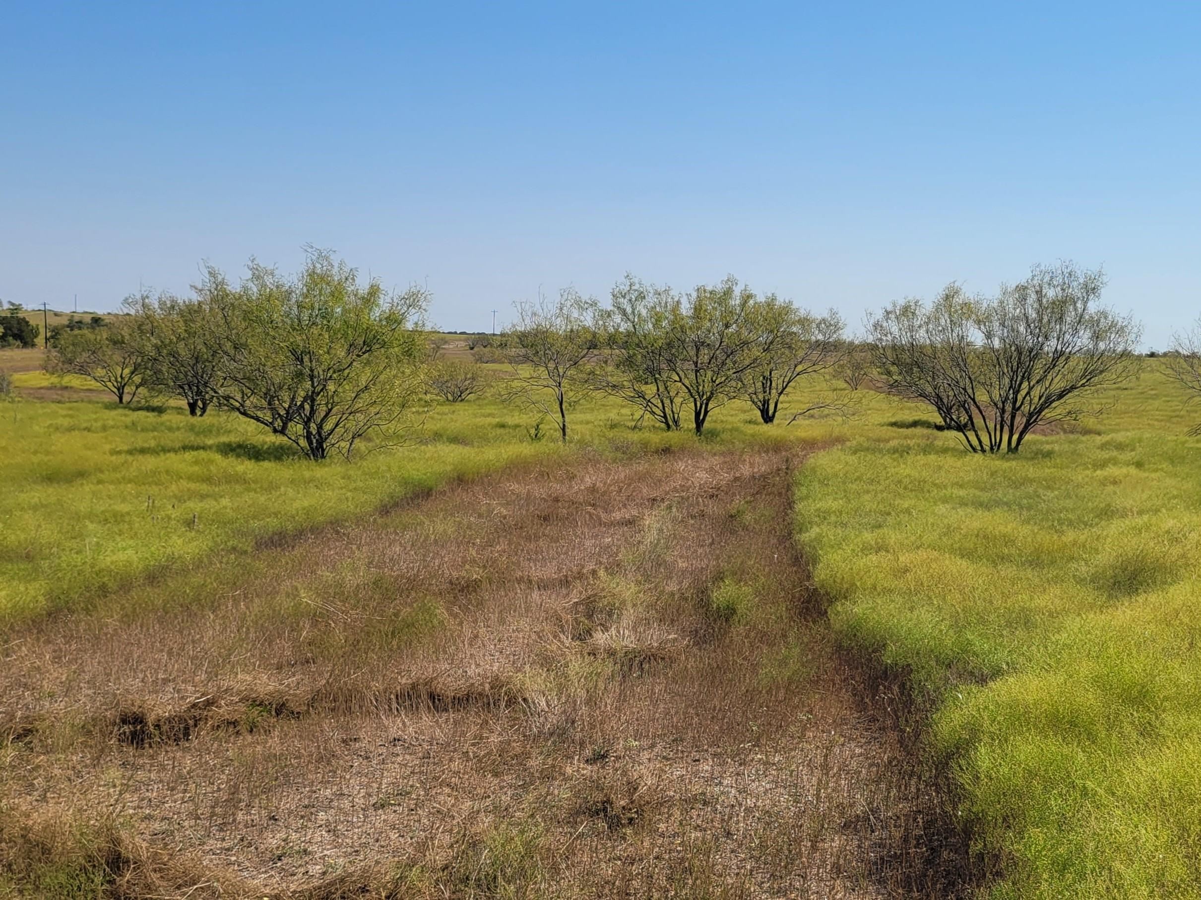 Farm in Burnet 4