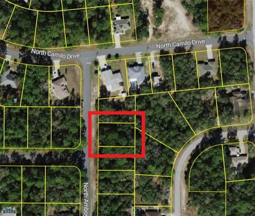 9055 N Amboy Dr, CITRUS SPRINGS, FL, 34433-4301 | Card Image