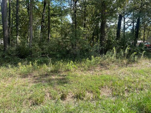 TBD Meridian, Livingston, TX, 77352 | Card Image