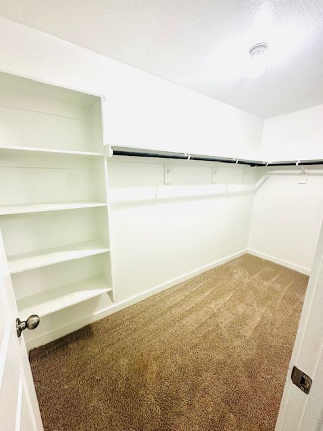 2376 Sawdust Dr, House other with 4 bedrooms, 3 bathrooms and 4 parking in Georgetown TX | Image 14