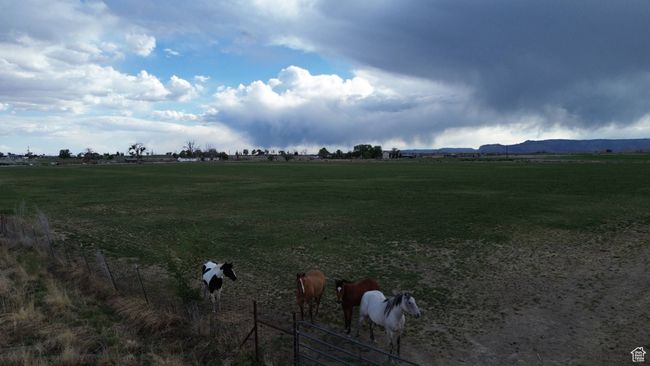 View of yard featuring a rural view | Image 17