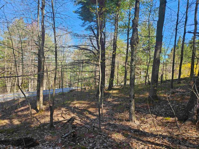 117 Mountain Dr, Home with 0 bedrooms, 0 bathrooms and null parking in Gilford NH | Image 5