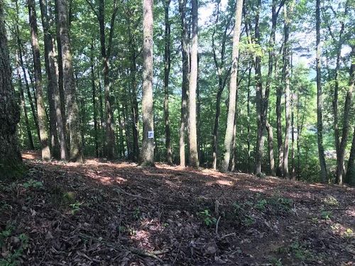 25 Piney Knob Dr, Spring City, TN, 37381 | Card Image