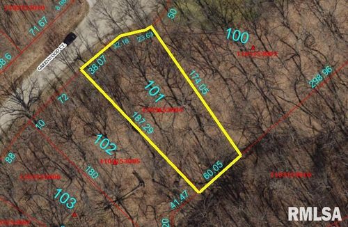 101 Greenwood Ct, Dahinda, IL, 61428 | Card Image