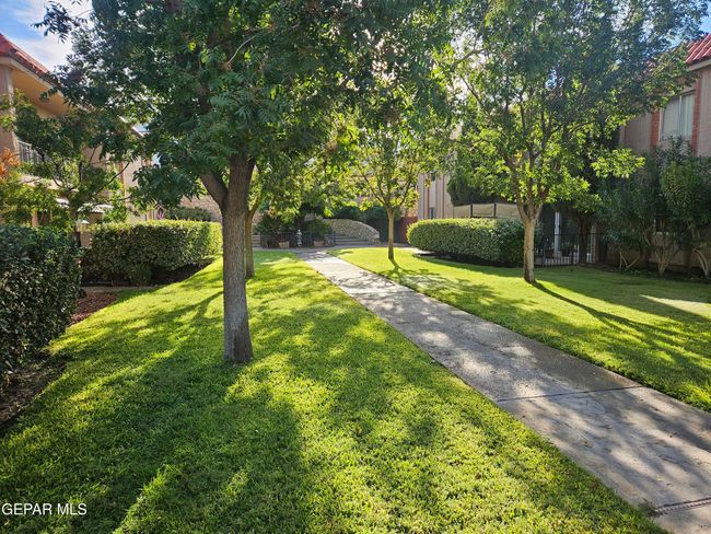 20250918_084922 | Image 20