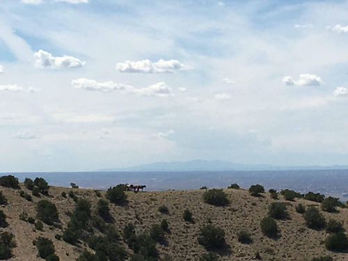 Unit 3 Camino Halcon, Placitas, NM, 87043-8604 | Card Image