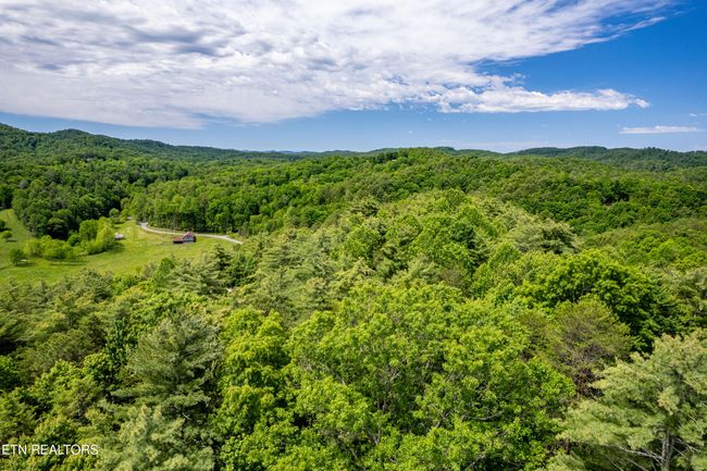 000 Cane Creek Mountain Rd, Home with 0 bedrooms, 0 bathrooms and null parking in Tellico Plains TN | Image 18