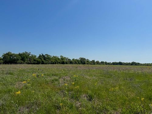Tract # 2 County Road 123, Iola, TX, 77861 | Card Image